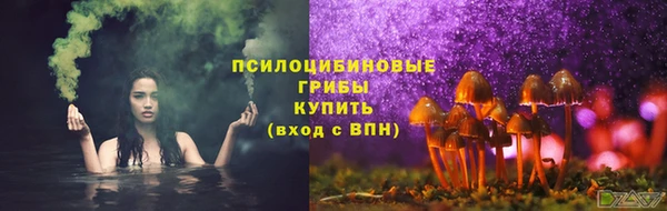 ГАЛЛЮЦИНОГЕННЫЕ ГРИБЫ Горнозаводск