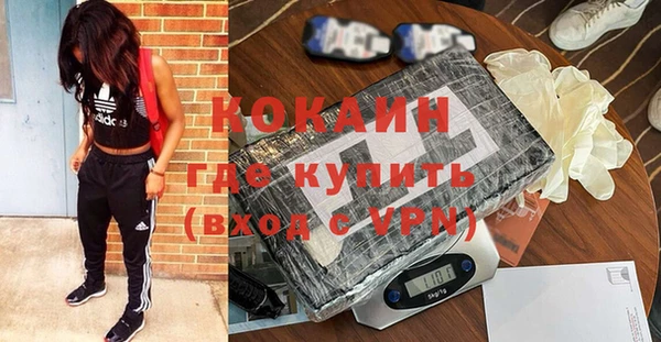 шишки Сосновый Бор