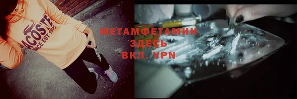 шишки Сосновый Бор