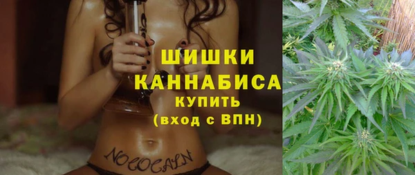 СК Горно-Алтайск